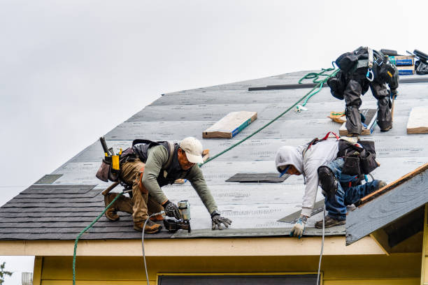 Professional Gutter Installation technician working in Martin, TN